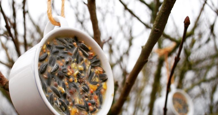 WINTER FOOD FOR THE BIRDS